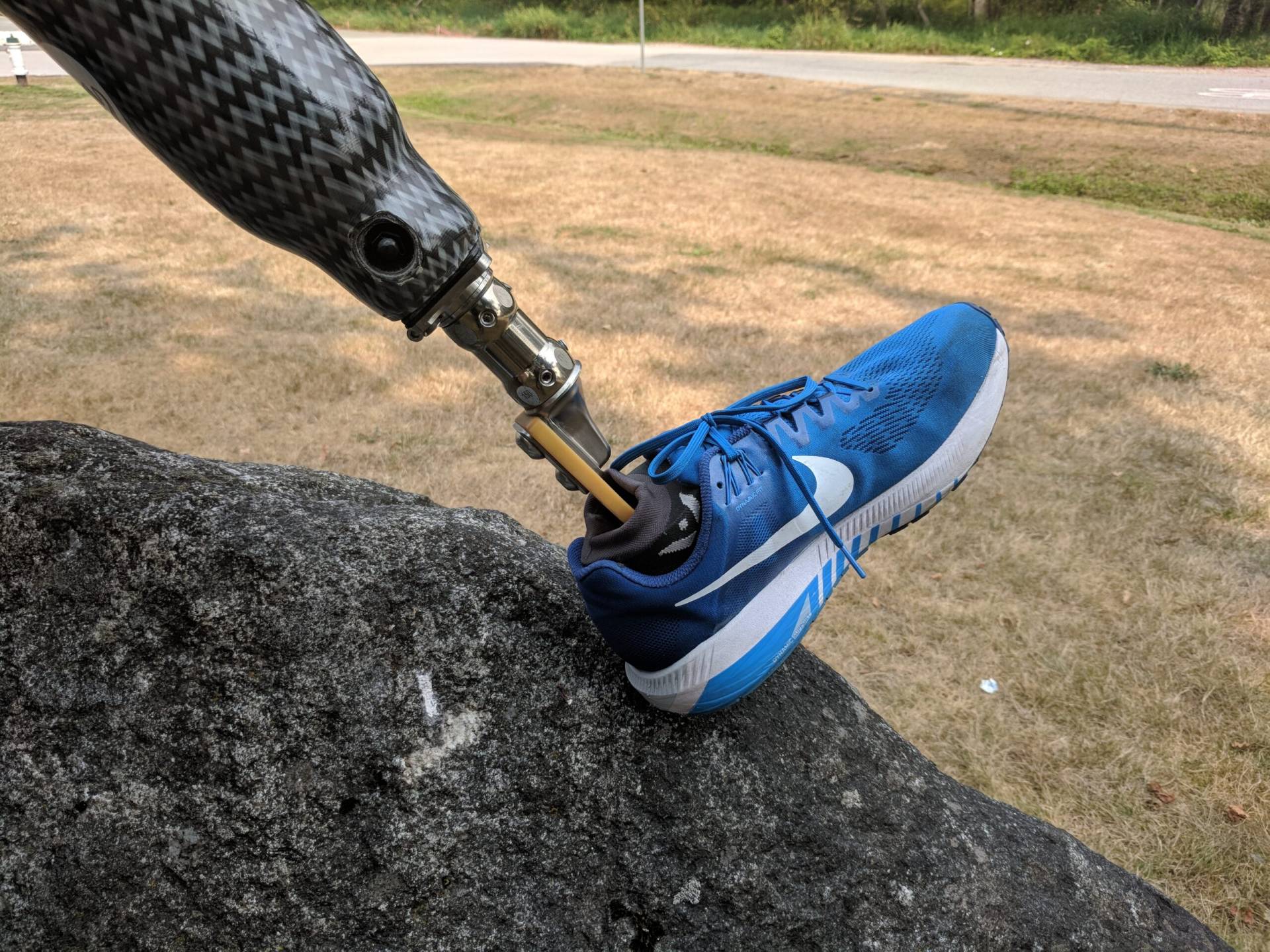 Bionic Amigo | Web Development & Design Bionic Amigo | Web Development & Design