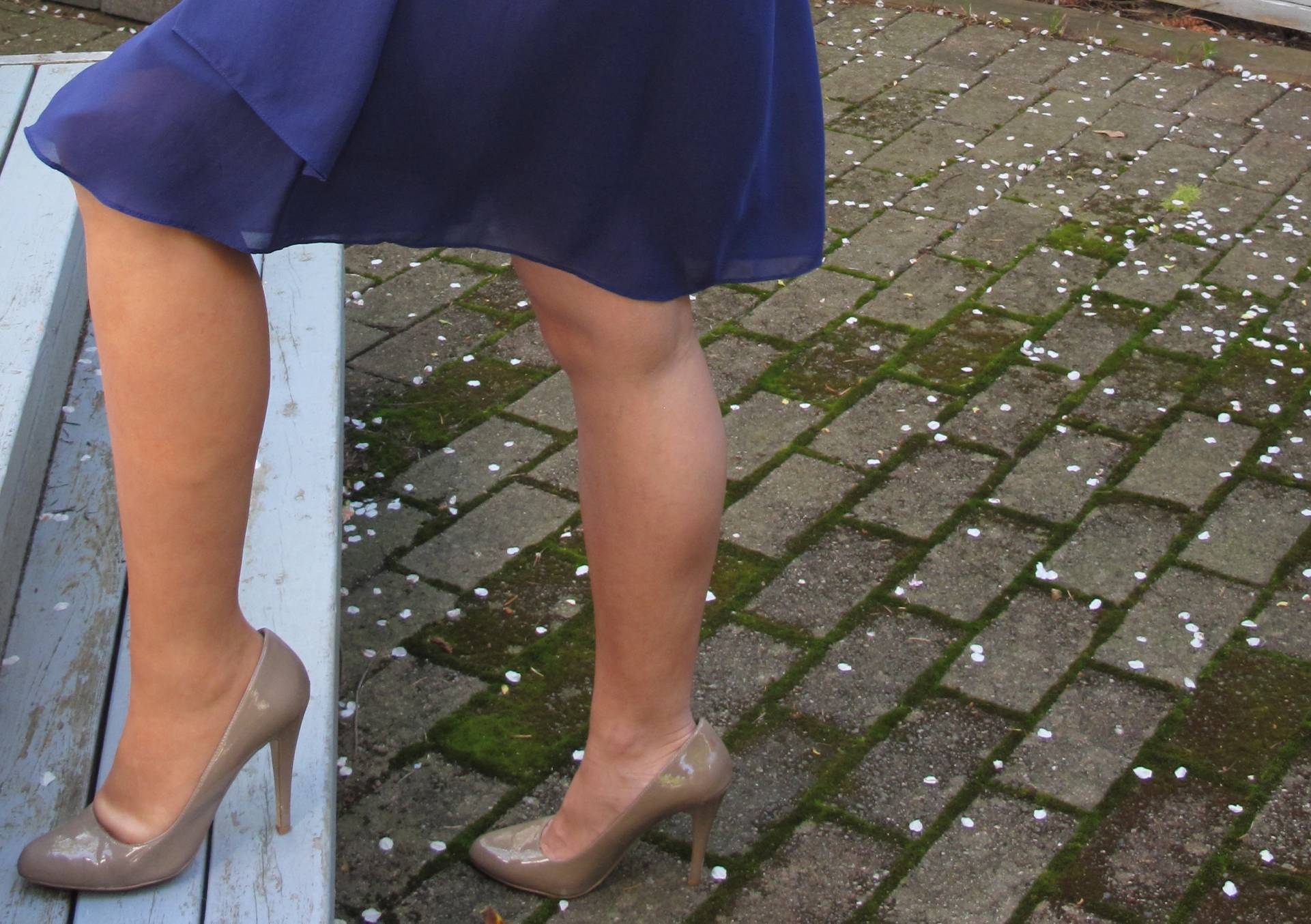 Bionic Amigo | Web Development & Design Bionic Amigo | Web Development & Design